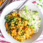 creamy-cheap-vegan-lentil-curry-edit1